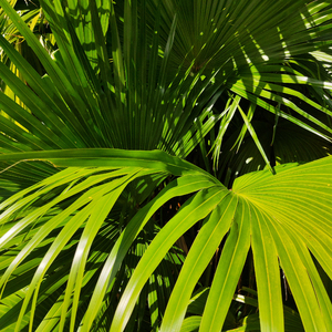 中国❌❌❌❌❌色情10
